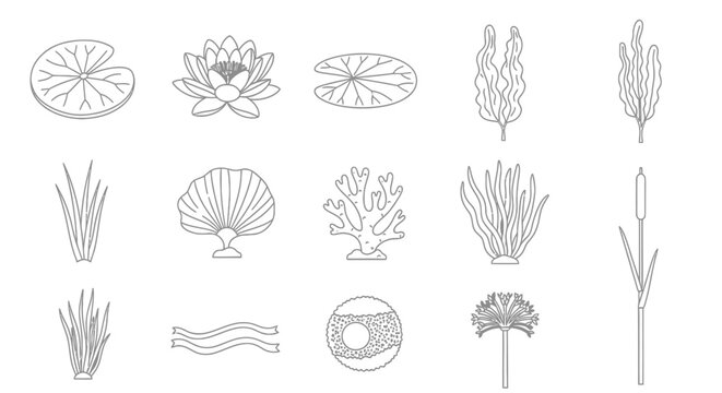 Aquatic plants and underwater vegetation line icons.