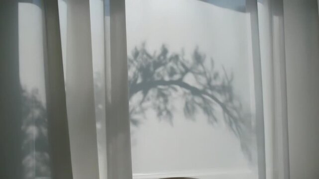 Shifting branch shadow crossing sheer drape at window from sunlight and breeze revealing chair back