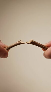 Hands Snapping a Small Wooden Twig in Half