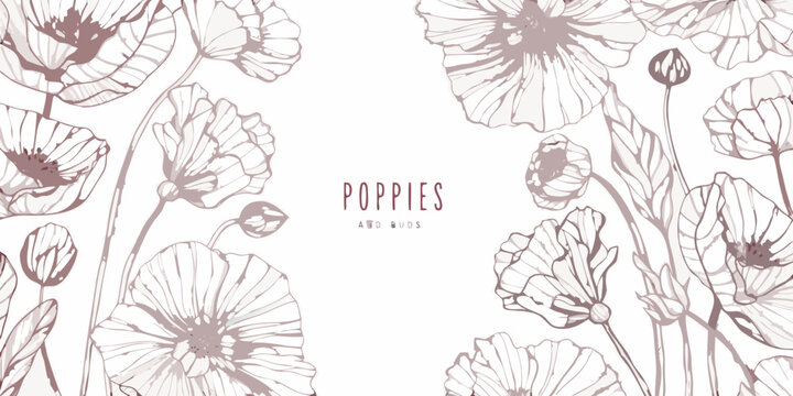 Poppy floral ornament with delicate lines on a light beige background