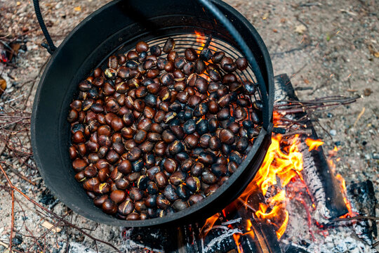 Roasting chestnut in a kettle over a campfire in Ticino