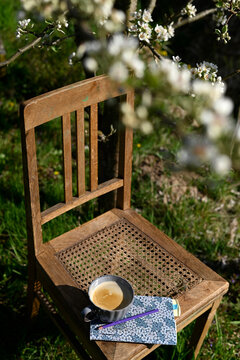 Coffee and notebook on a wooden chair in a spring garden