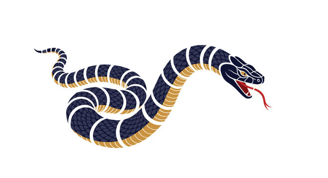 Striking illustration of a dark snake with yellow and white stripes baring its fangs on a clean white background.