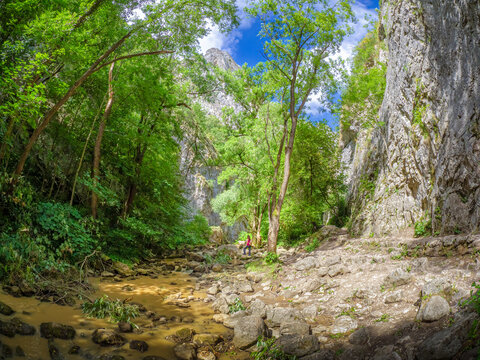 Female hiker exploring Turda Gorge among cliffs and forest trail
