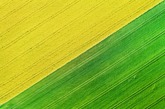 Germany, Baden-Wuerttemberg, Rems-Murr-Kreis, Aerial view of fields in spring