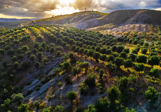 Agricultural landscape of Crotone province, Calabria, Italy