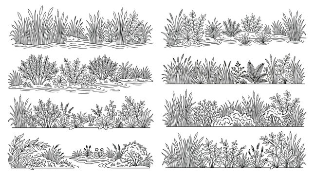 Set of hand drawn swamp plants, reeds, cattails, sedge and aquatic vegetation