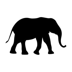 Fototapeta premium Black silhouette of an elephant walking majestically across a plain white backdrop