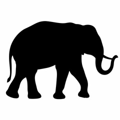 Fototapeta premium Silhouette of a Large African Elephant Walking Isolated on White Background
