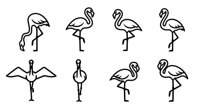 Set of eight line drawings of flamingos in various poses and angles