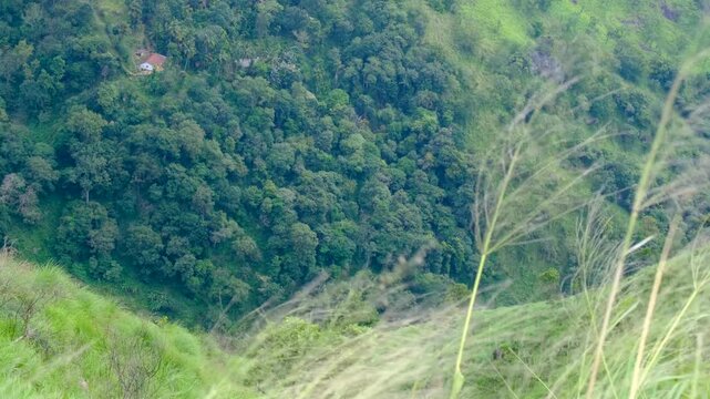 Looking down steep cliffs at forest trees below from &rsquo;s Peak on windy blustery day in Central Sri Lanka