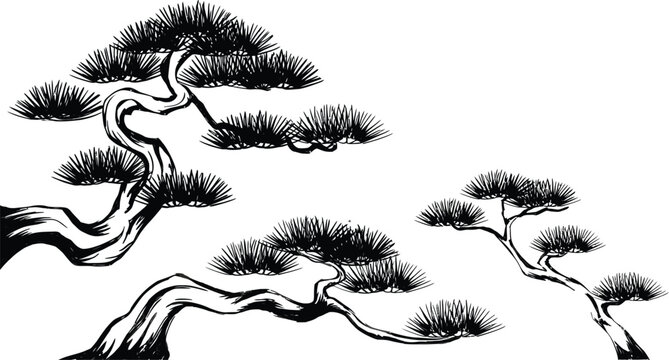 Elegant black and white ink illustration of a stylized pine tree with flowing branches.