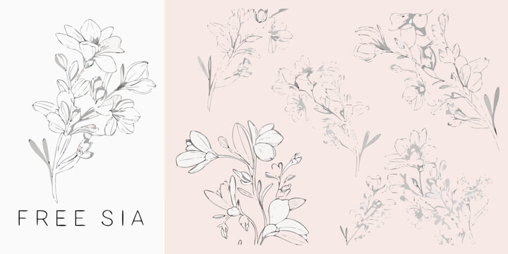 Freesia flower collection hand drawn vector illustration on a pale pink background