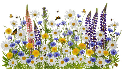 Wildflowers with Butterflies and Bees © Isabel