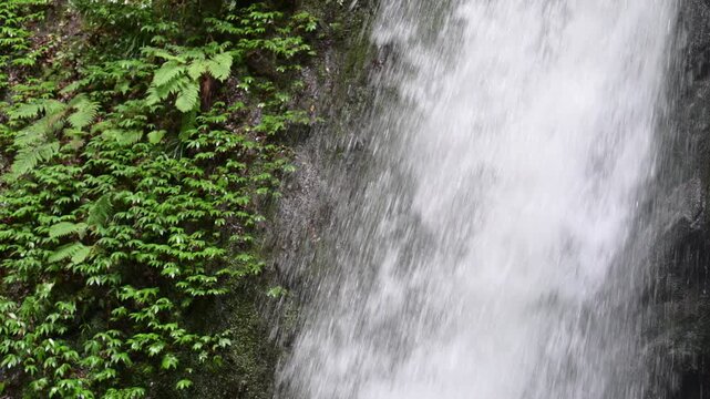 [スロー]岩肌を流れ落ちる滝　マイナスイオンなどの日本の自然のイメージクローズアップ