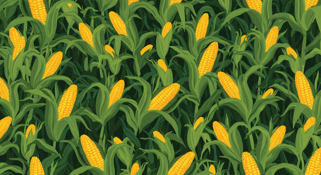 Vibrant background pattern of a dense cornfield showing ripe yellow corn ears growing among lush green leaves and stalks.