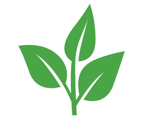 Fototapeta premium Leaf green nature icon. Vector flat illustration of organic sprout with three leaves isolated on white background. Ecology, bio, sustainability logo element