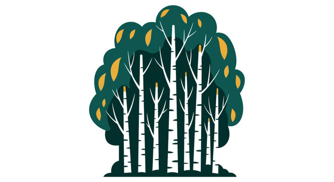 Illustrated birch trees with green foliage and autumn leaves.