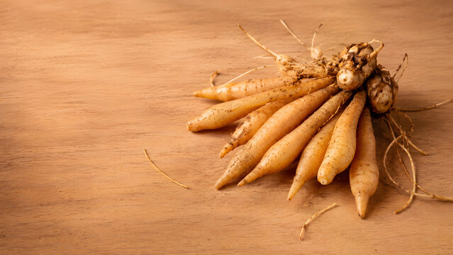 Fresh Fingerroot Rhizomes on Wooden Surface, Authentic Thai Herbal Ingredient and Culinary Concept