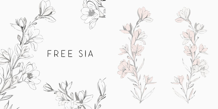 Freesia flower collection hand drawn vector illustration with a light beige background