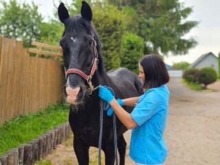 Obraz premium Veterinarian caring for black horse near wooden fence on cloudy day