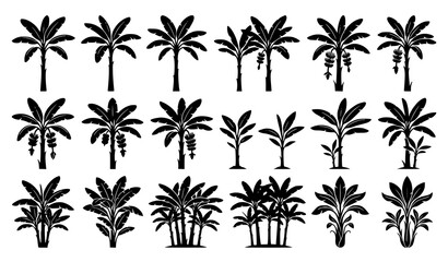 Exotic Palm Tree Silhouette Set For Tropical Nature And Travel Themes © Boloram
