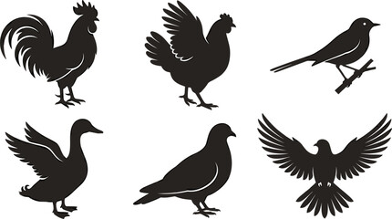 Domestic and Wild Birds Silhouette Vector Set Featuring Rooster Hen Duck Pigeon and Flying Eagle Icons for Farmhouse and Nature Graphic Designs © Mdsumon