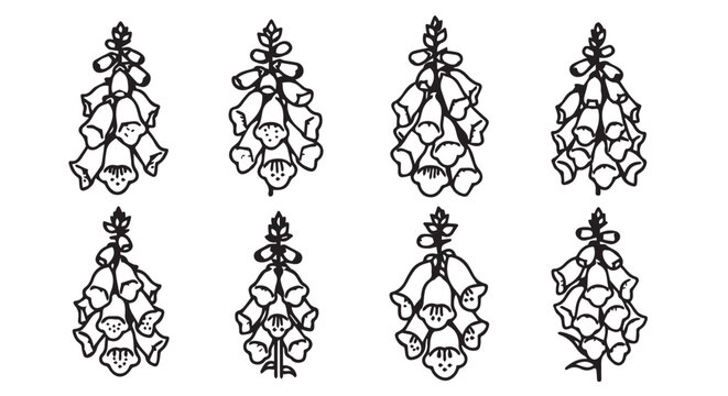 Delicate Foxglove flower illustrations against a clean white background for botanical design