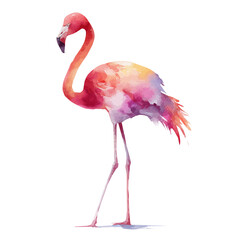 Flamingo, watercolor clipart vector, isolated on a white background. © F-ART