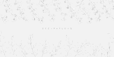 Delicate eucalyptus floral ornament hand drawn style on a white background © Debashis