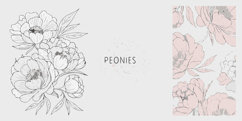 Fototapeta premium Peony flower collection hand drawn vector illustration with soft pastel tones