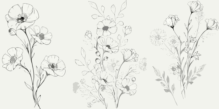 Wildflower collection delicate hand drawn line art on a light beige background