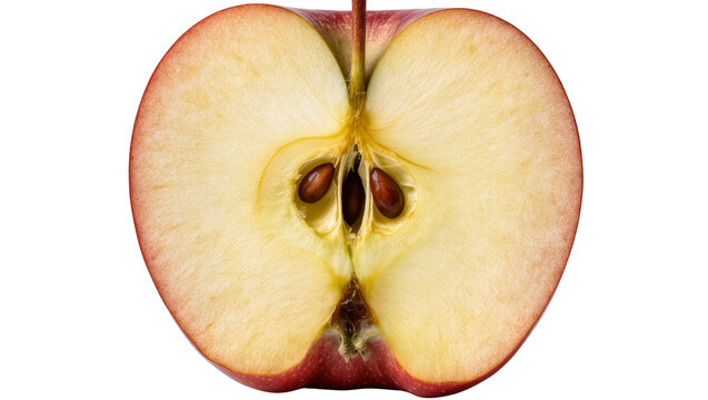 Red apple cut in half showing seeds and core