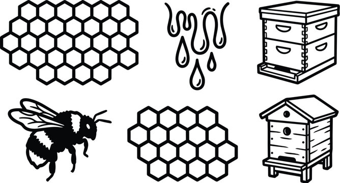 Honeycomb and beehive with bees