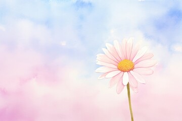 Obraz premium Background daisy sky backgrounds outdoors.