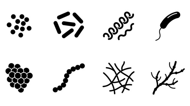 Set of various bacteria and microorganisms icons