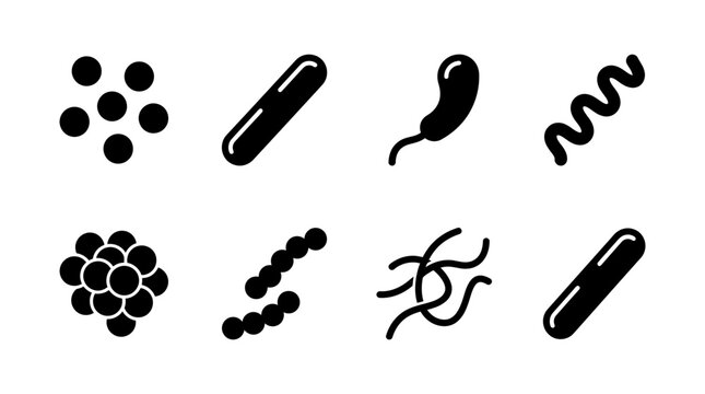 Set of various bacteria shapes and types of microorganisms