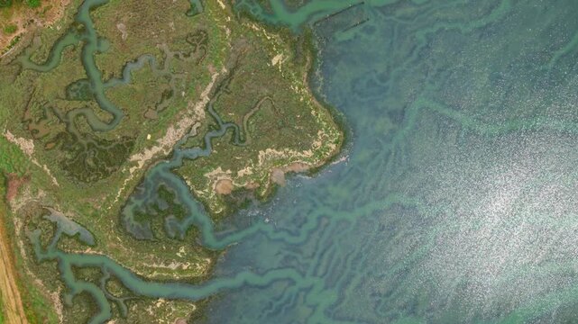 High angle drone view of coastal saltmarsh geography and tidal mudflats displaying natural drainage channels.