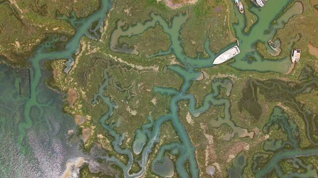 Top down aerial view of marshland with drainage channels and water veins along an estuary