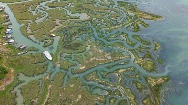 Top down aerial view of marshland with drainage channels and water veins along an estuary