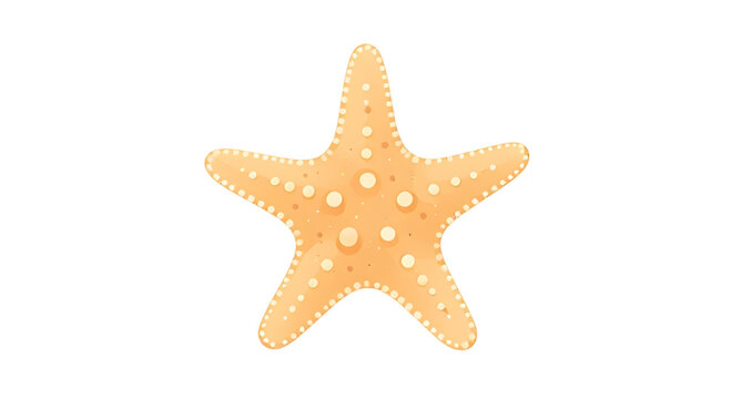 starfish, starfishillustration, seastar, marineanimal, ocean, beach, aquatic, sealife, tropical, nature, underwater, coastal, echinoderm, vector, illustration, isolated, wildlife
