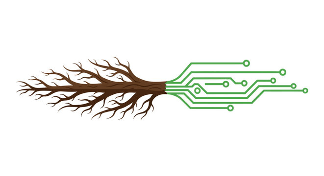 Nature and Technology Fusion: Tree Roots Transform into Digital Circuit Board