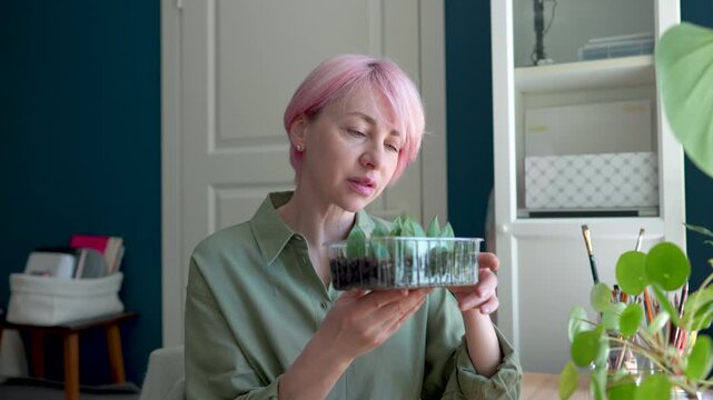 Cheerful relaxed mature woman green thumb enjoying plant hobby and growing houseplants at home, smiling female holding container with Zamioculcas leaves planted in the ground to grow new young plants