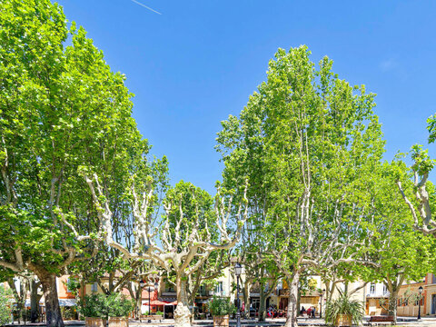 Villecroze in Provence in Haut-Var - Place du G&eacute;n&eacute;ral de Gaulle surrounded by shops in the shade of plane trees, preceding the entrance to the gardens and its impressive waterfall
