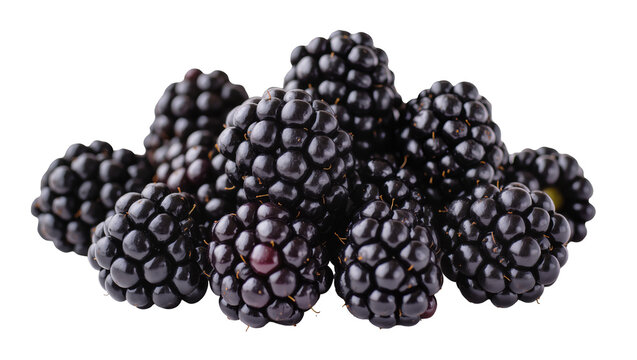 Heap of fresh ripe blackberries close-up