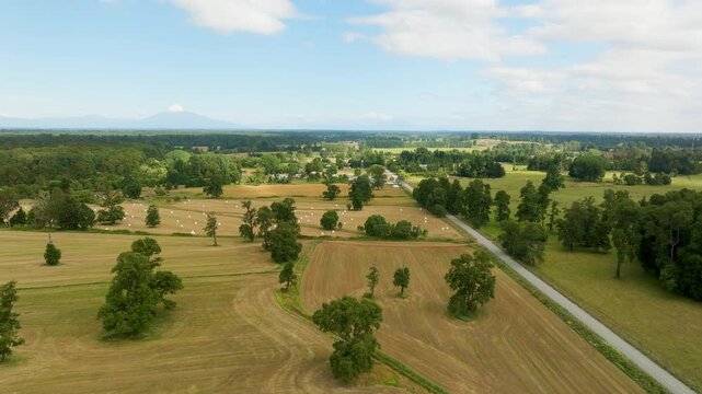 Drone aerial shot moving from right to left while gaining altitude over harvested agriculture fields and hay bales near Puerto Octay Chile