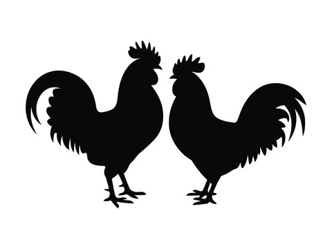 Rooster silhouette illustration of two roosters facing each other on white background