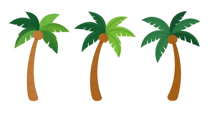palmtree, coconutpalm, coconut, palm, tropical, tree, cartoon, island, beach, summer, nature, exotic, paradise, vector, illustration, isolated, tropicaltree