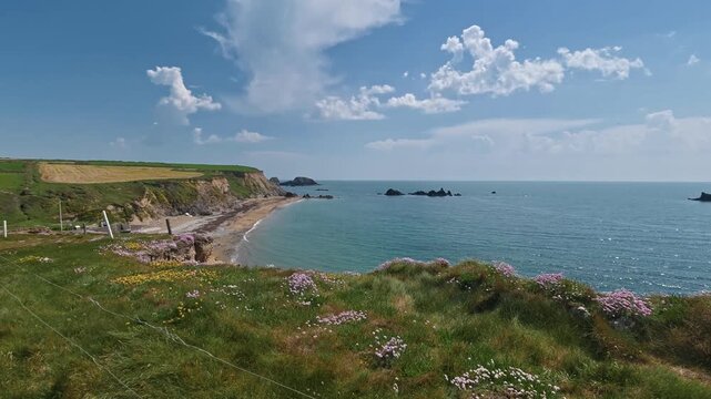 Timelapse summer beach Irish coast in Waterford seapinks and cliff top flora in bloom,puffy clouds and gentle seas,beautiful coastline in epic locations