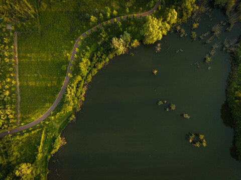 Aerial view of a winding path along the green shore of a lake with lush trees and dark water during golden hour in Tirane, Tirana County, Albania.
